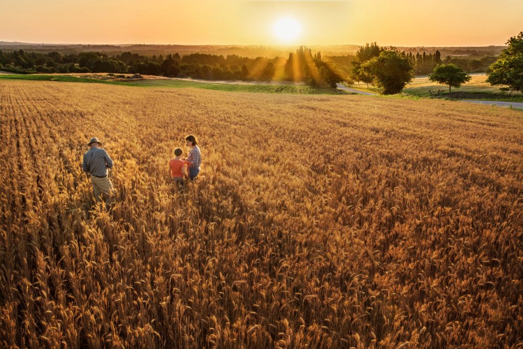 A man and two children stand in a field.